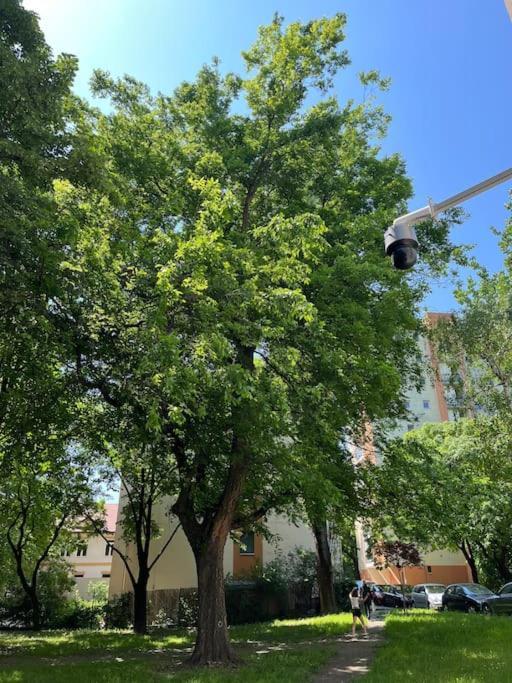 City Park Little Flat. Budapest Luaran gambar